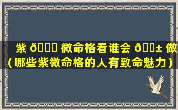 紫 🐝 微命格看谁会 🐱 做人（哪些紫微命格的人有致命魅力）